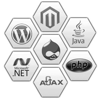 best web designing services rizvi developer